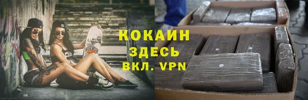 индика Богородицк