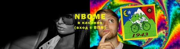индика Богородицк