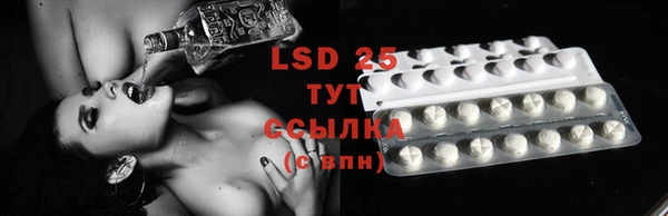 сатива Богданович