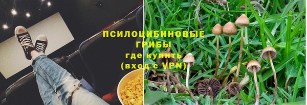 индика Богородицк